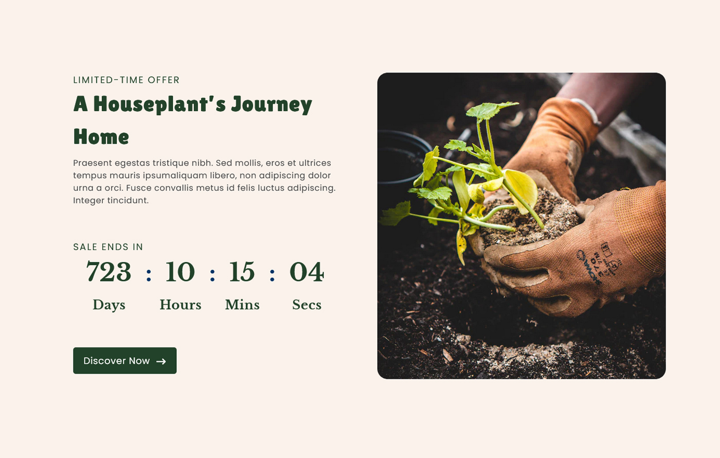 Plantify - Free Plant Shopify template built by Pagefly