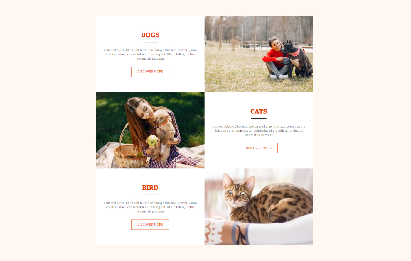 Animalify - Pet Shopify template built by Pagefly