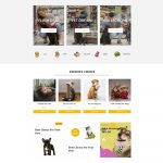 Petify – Pet Supplies Shopify template built by Pagefly