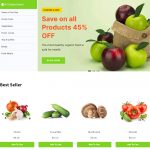 Organicify – Organic Food Shopify template built by Pagefly
