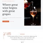 Winify – Wine Shopify template built by Pagefly