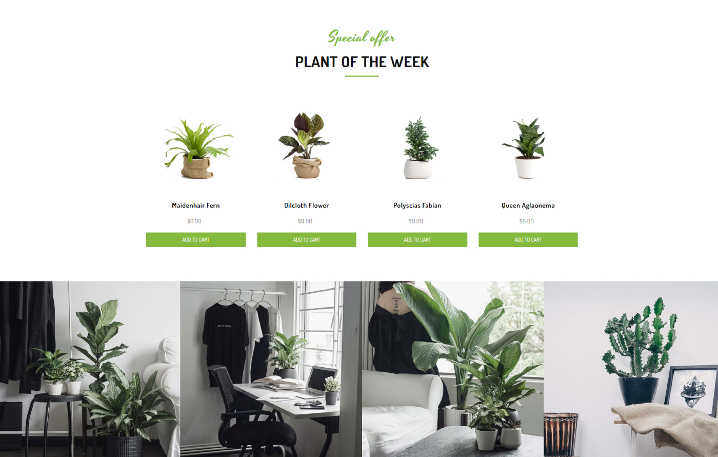 Greenify - Garden Shopify template built by Pagefly