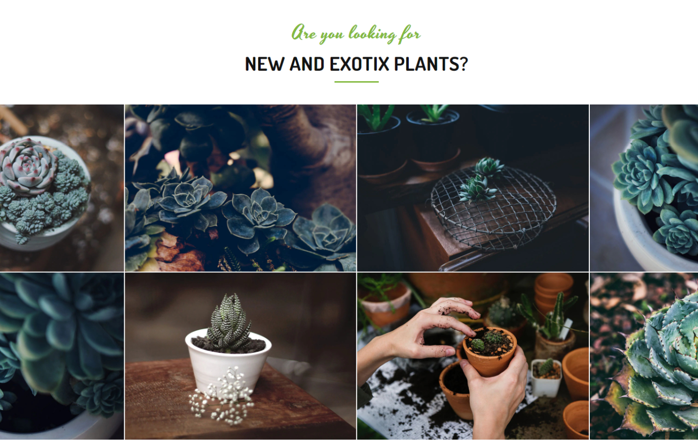 Greenify - Garden Shopify template built by Pagefly