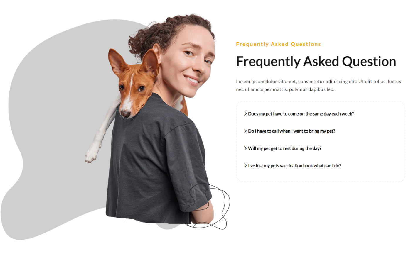 Petcarify - Pet Store Shopify template built by Pagefly