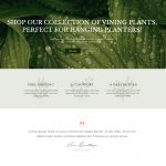 Plantdecorify – Houseplants Shopify template built by Pagefly