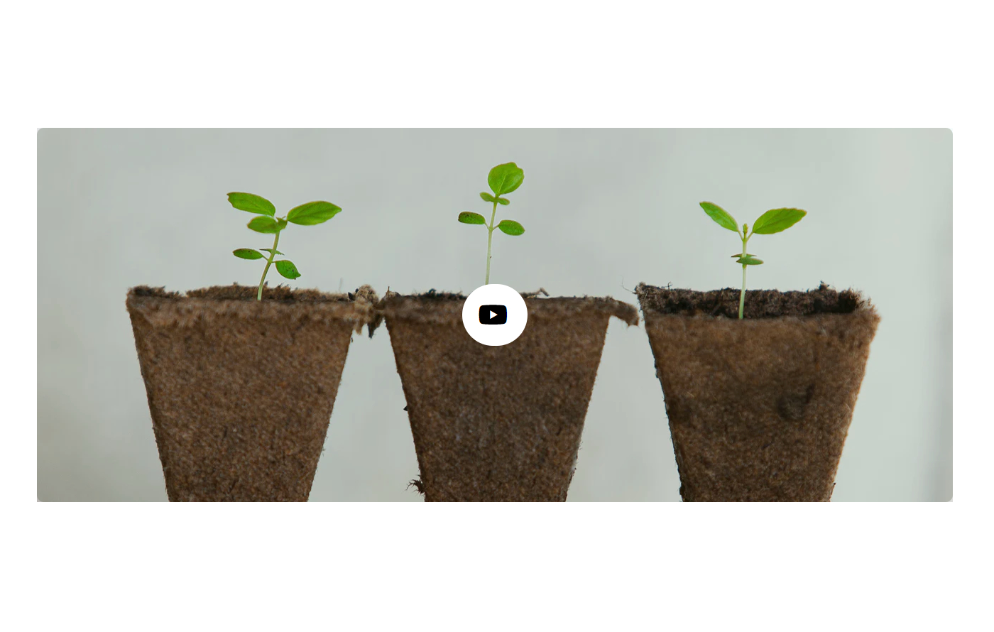 Plantdecorify - Houseplants Shopify template built by Pagefly