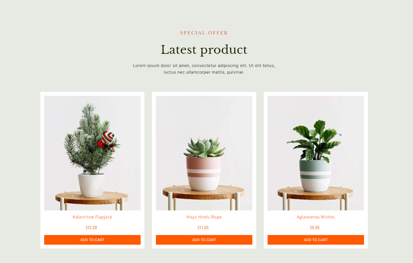 Plantdecorify - Houseplants Shopify template built by Pagefly