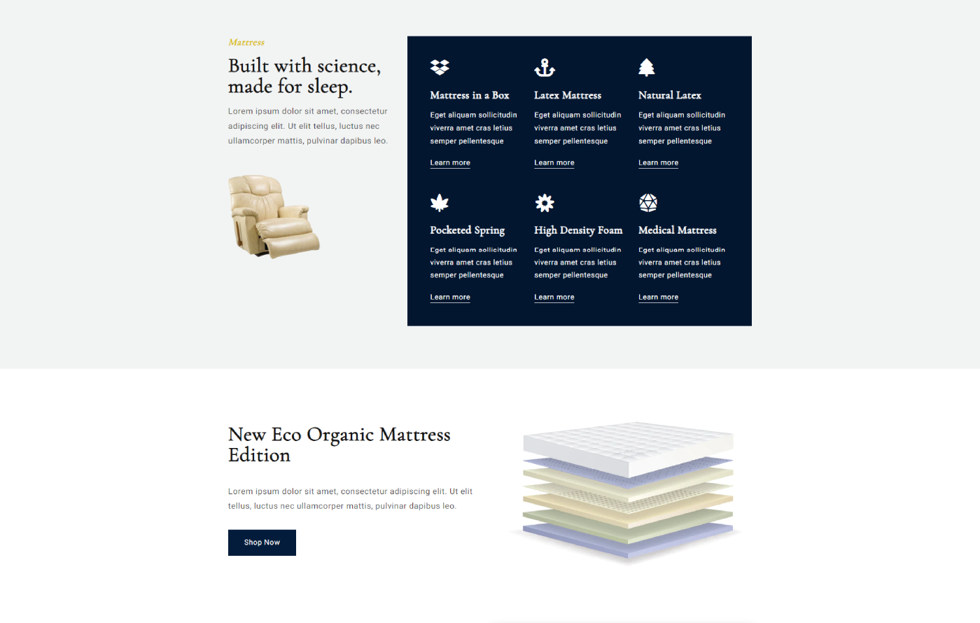 Mattressify - Beds & Mattress Shopify template built by Pagefly