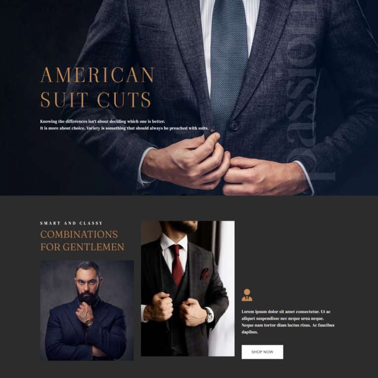 50+ Shopify Landing Page Templates