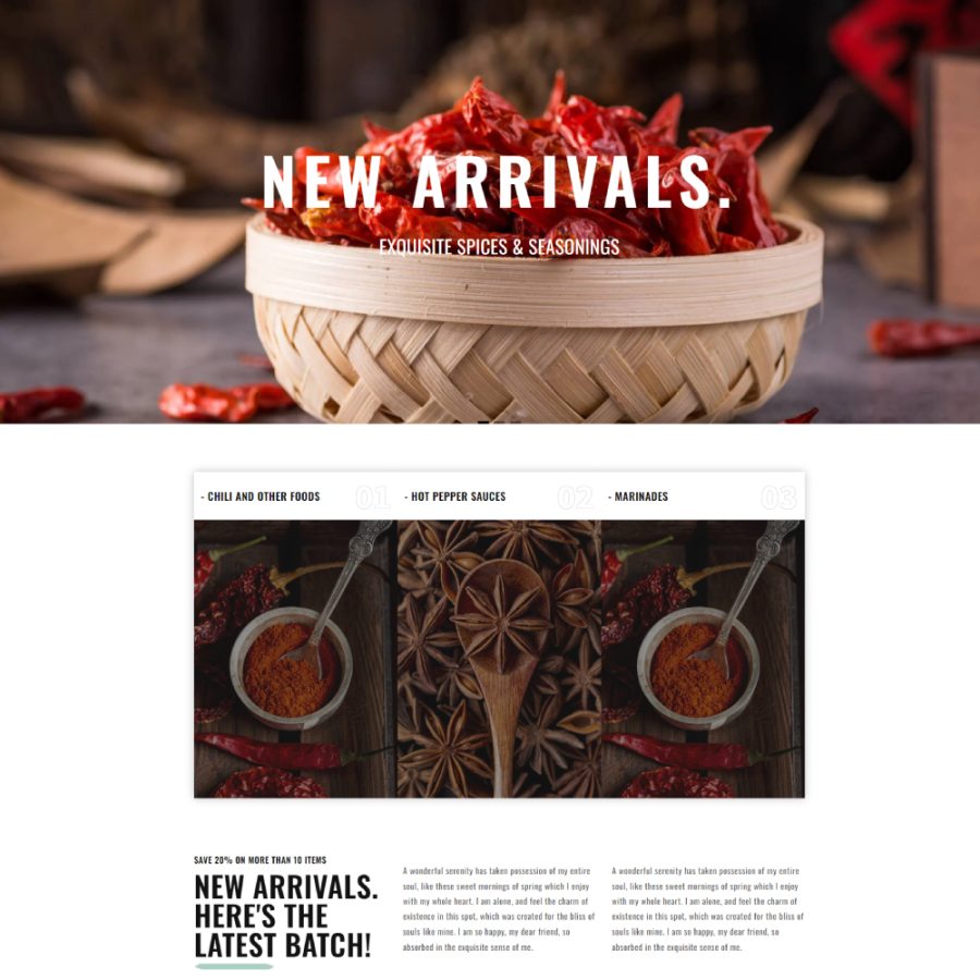 50+ Shopify Landing Page Templates