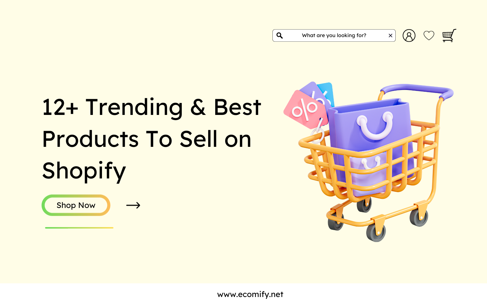 12+ Trending & Best Products To Sell on Shopify 2024